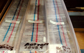 salt core